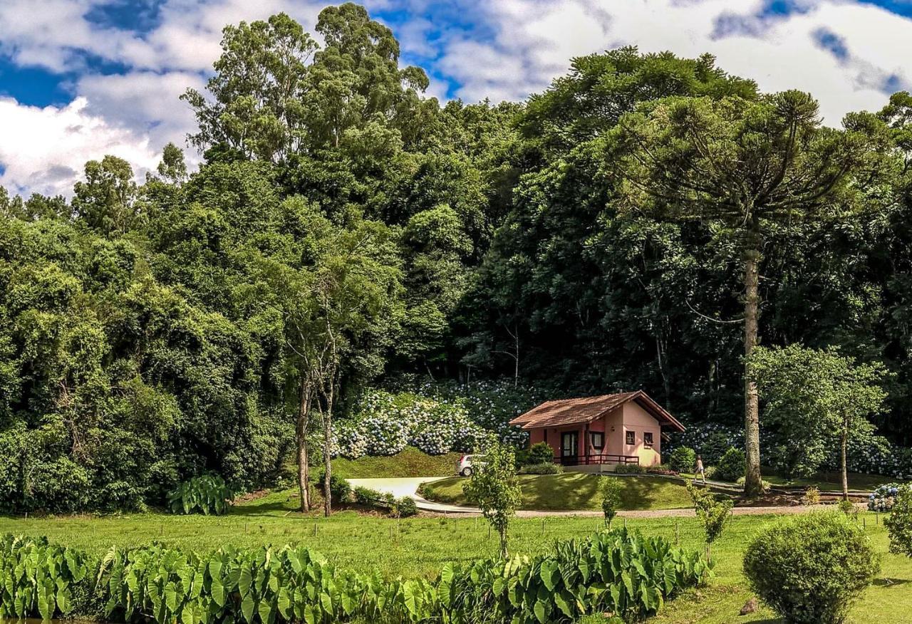 Pousada Pinhal Alto Nova Petropolis Luaran gambar